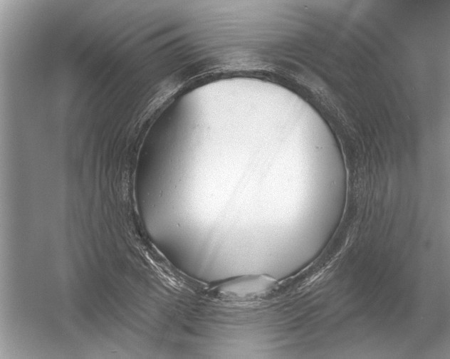 X0000053000833200508051132