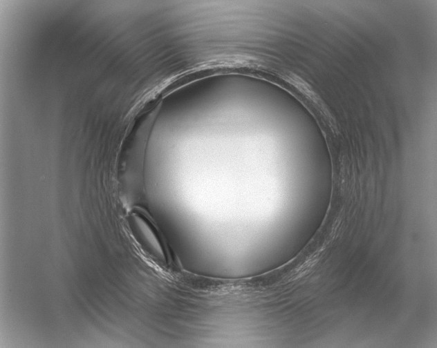 X0000053000834200508051132