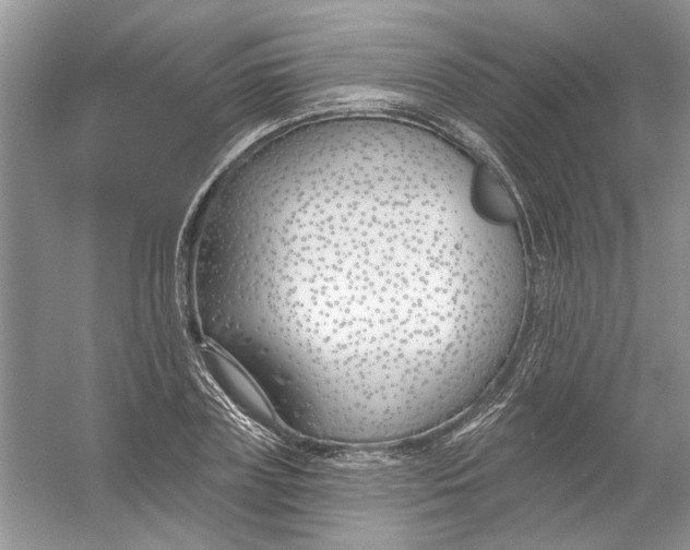 X0000053000835200508051132