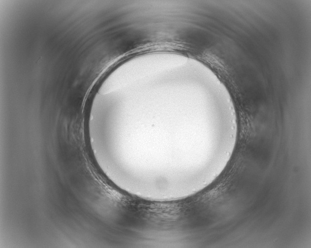 X0000053000836200508051132