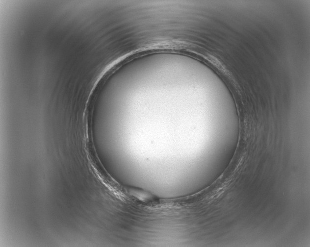 X0000053000838200508051132