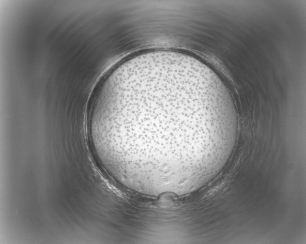 X0000053000839200508051132