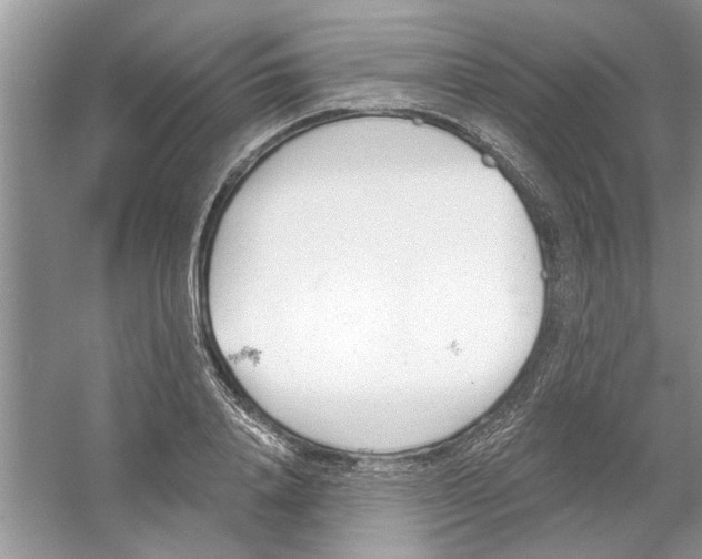 X0000053000840200508051132