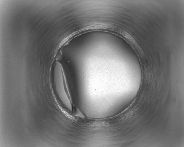 X0000053000842200508051132