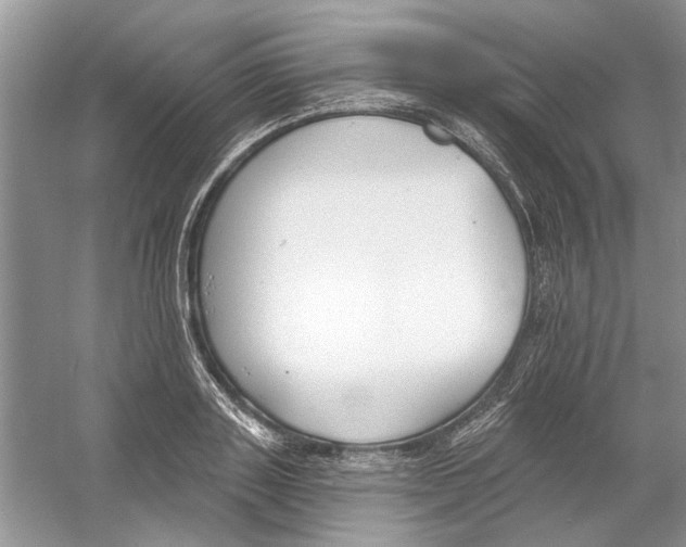 X0000053000843200508051132