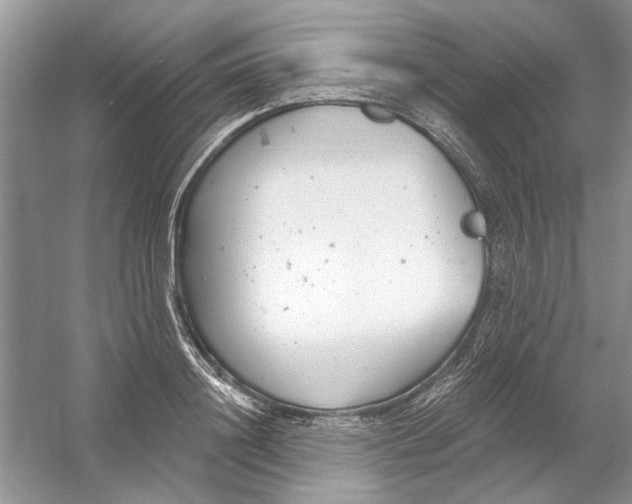 X0000053000844200508051132