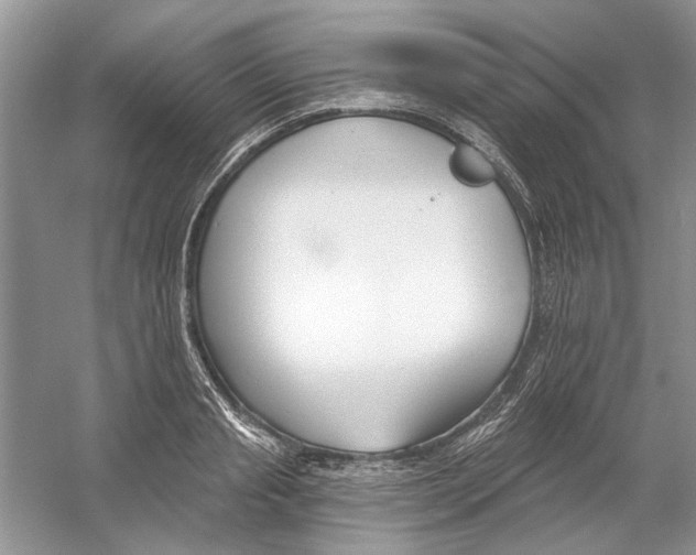 X0000053000845200508051132