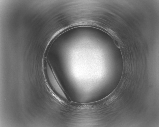 X0000053000846200508051132