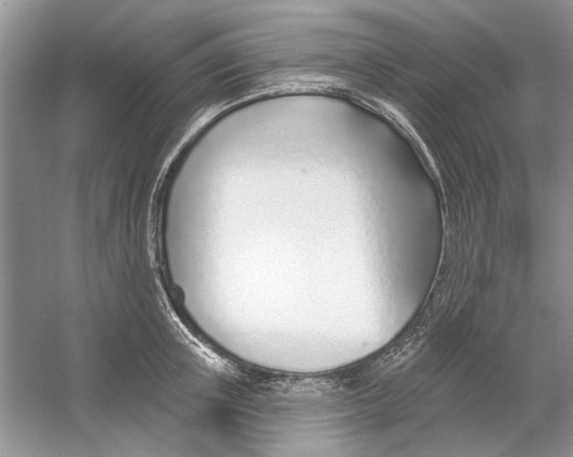 X0000053000851200508051132