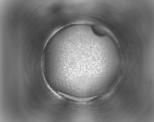 X0000053000855200508051132