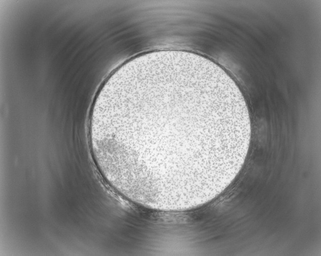 X0000053000856200508051132