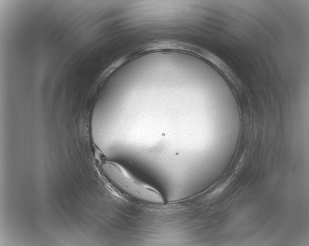 X0000053000857200508051132