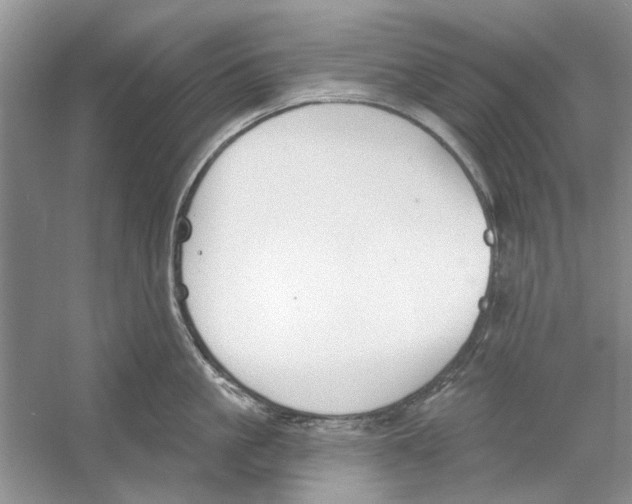 X0000053000861200508051132