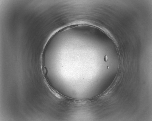 X0000053000862200508051132