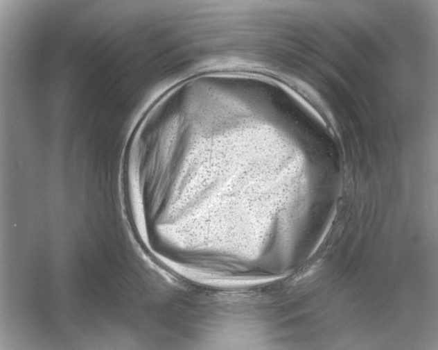 X0000053000863200508051132