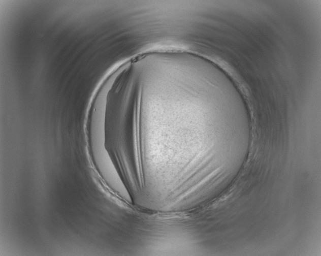 X0000053000864200508051132