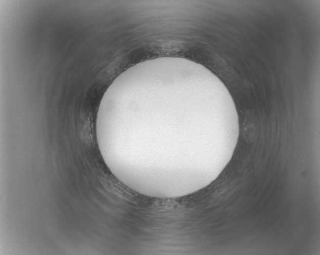 X0000053000866200508051131