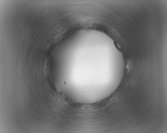 X0000053000867200508051131