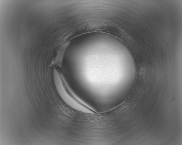 X0000053000868200508051131