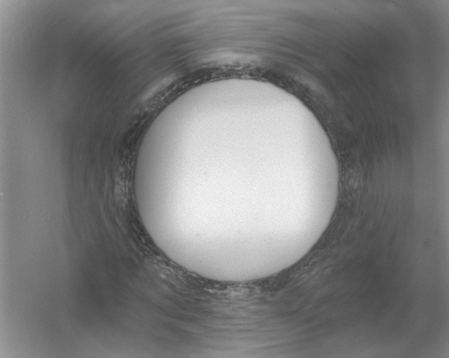 X0000053000869200508051131