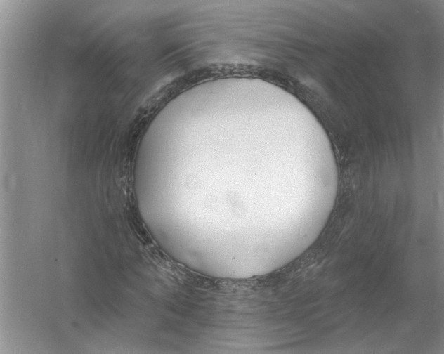 X0000053000870200508051131