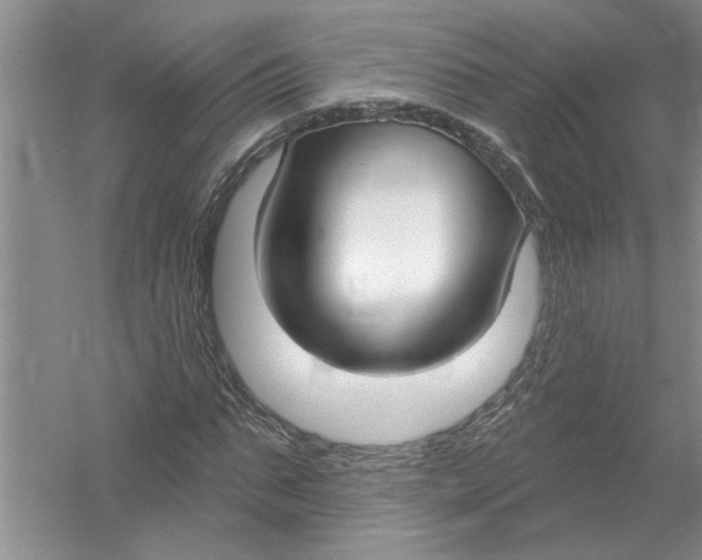 X0000053000871200508051131