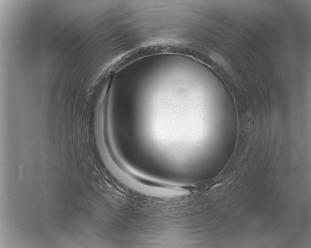 X0000053000872200508051131