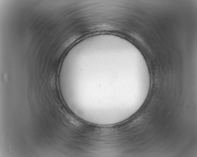 X0000053000873200508051131