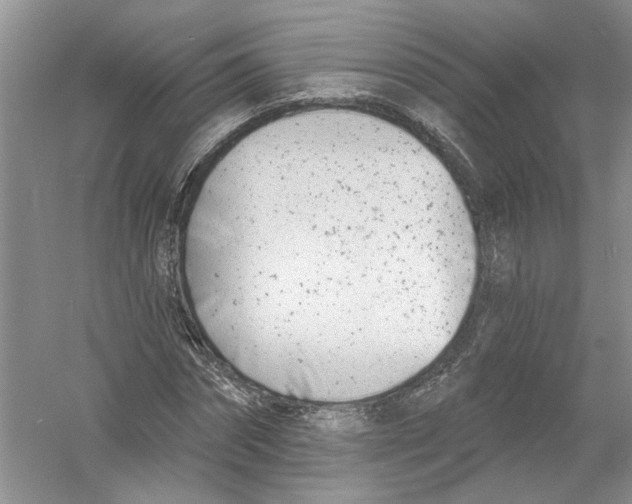 X0000053000874200508051131