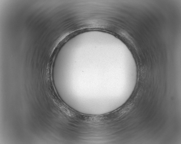 X0000053000875200508051131