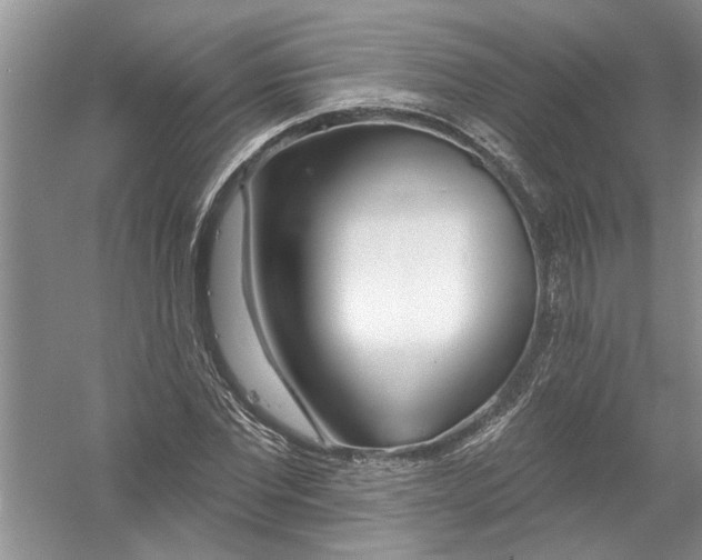 X0000053000877200508051131