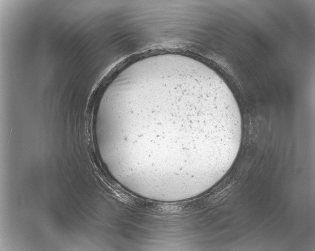 X0000053000878200508051131