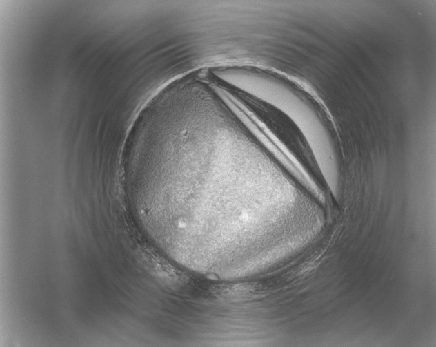 X0000053000879200508051131