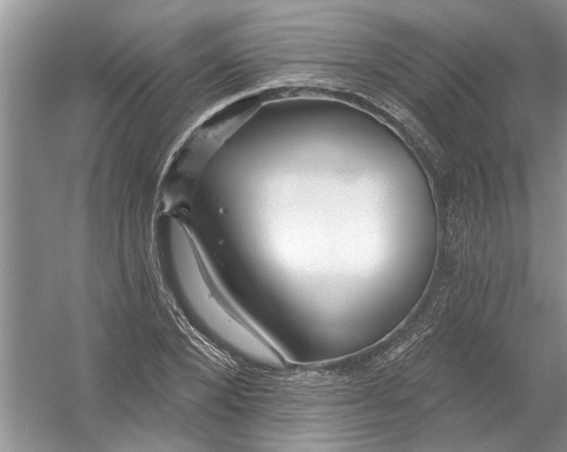 X0000053000880200508051131