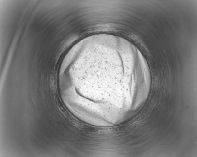 X0000053000882200508051131