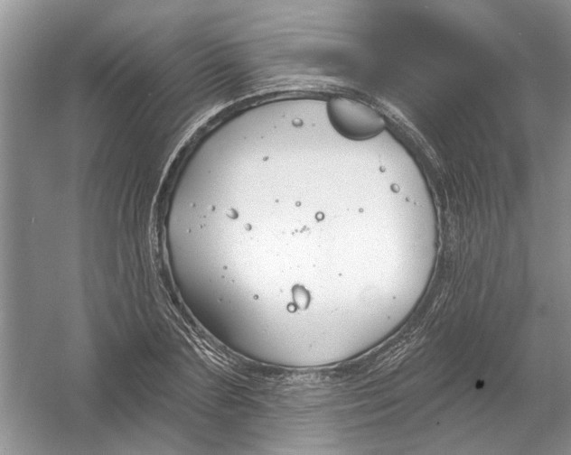 X0000053000883200508051131