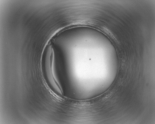 X0000053000884200508051131