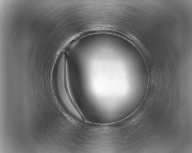 X0000053000885200508051131