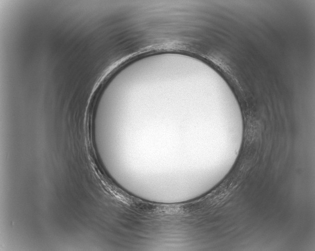 X0000053000886200508051131