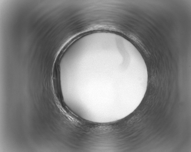 X0000053000888200508051131