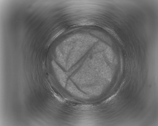 X0000053000889200508051131