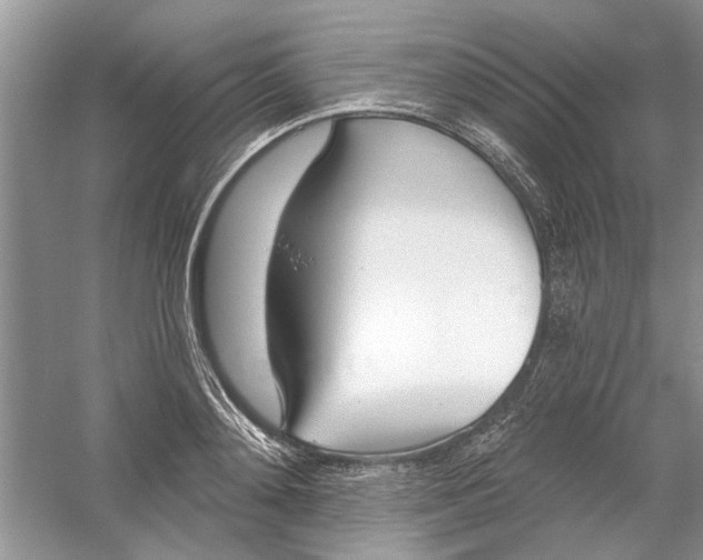 X0000053000892200508051131