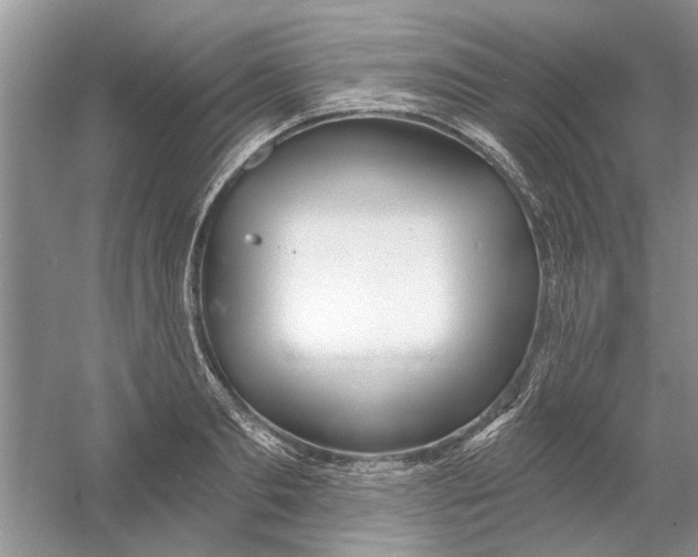 X0000053000893200508051131