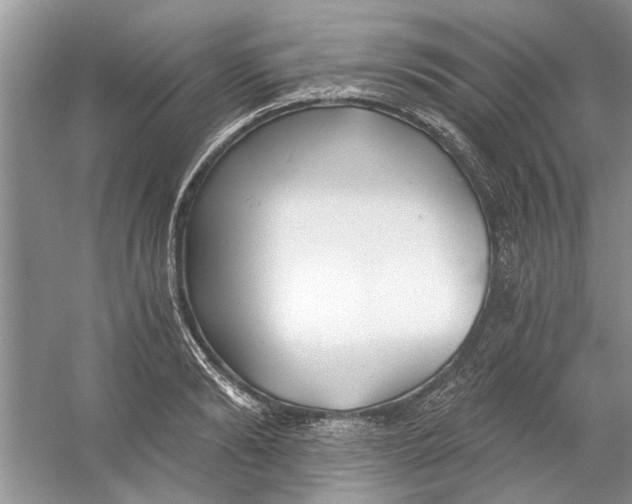 X0000053000894200508051131