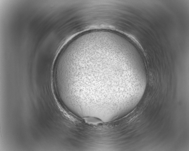 X0000053000895200508051131