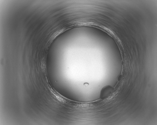 X0000053000897200508051131