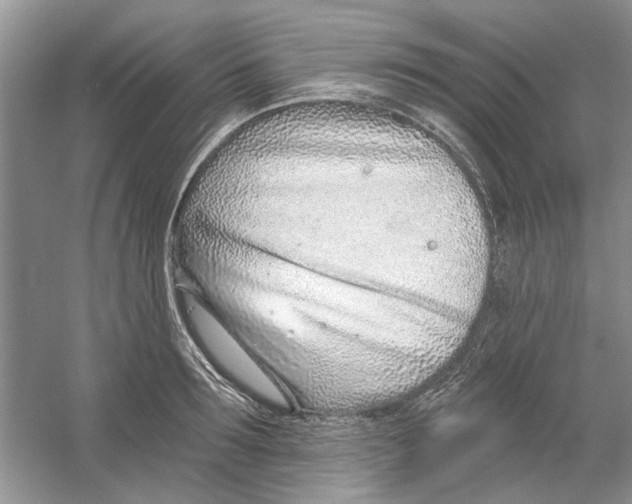 X0000053000899200508051131