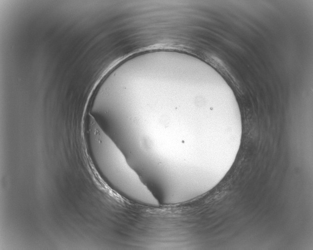 X0000053000900200508051131