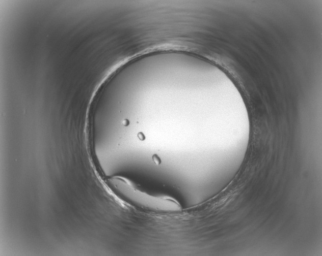 X0000053000902200508051131