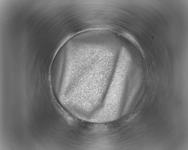 X0000053000907200508051131